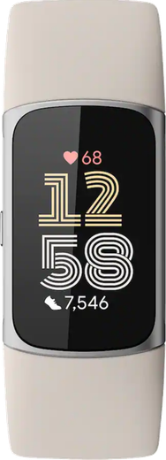 Mindscapes track prize — Fitbit Charge 6